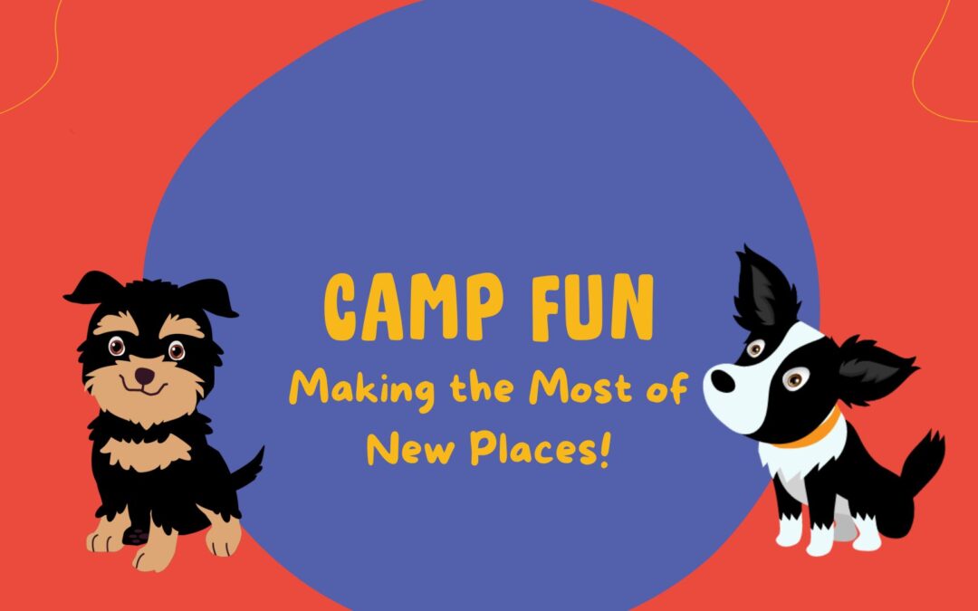 Camp Fun: Making the Most of New Places